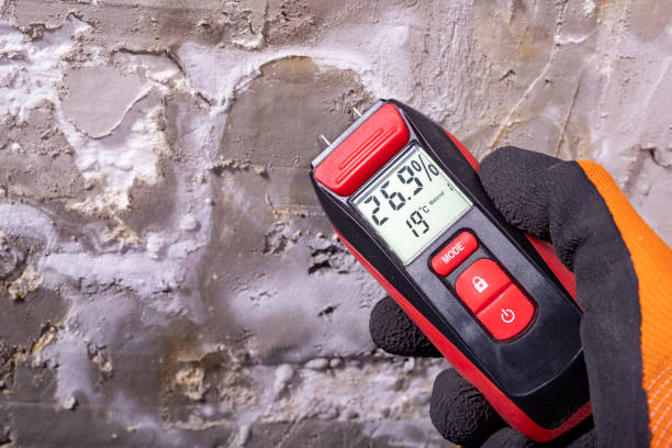 Certified Mold Removal in Gouldtown, NJ