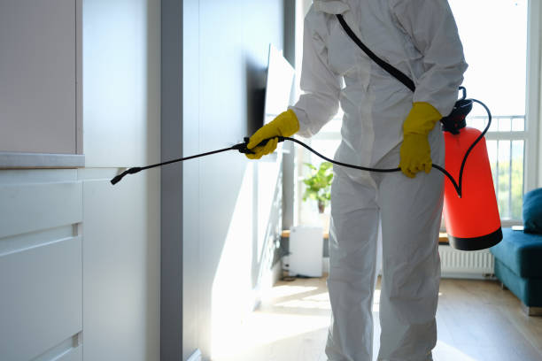 Best Certified Mold Removal  in Gouldtown, NJ