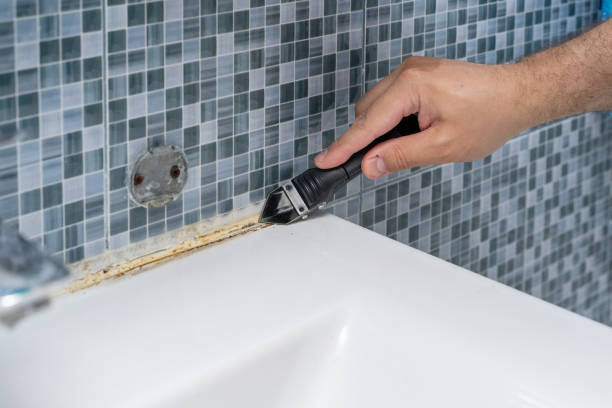 Best Emergency Mold Removal  in Gouldtown, NJ