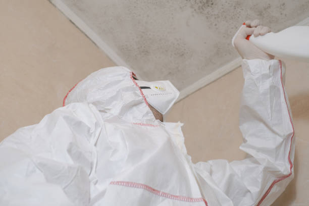 Trusted Gouldtown, NJ Mold Removal Experts