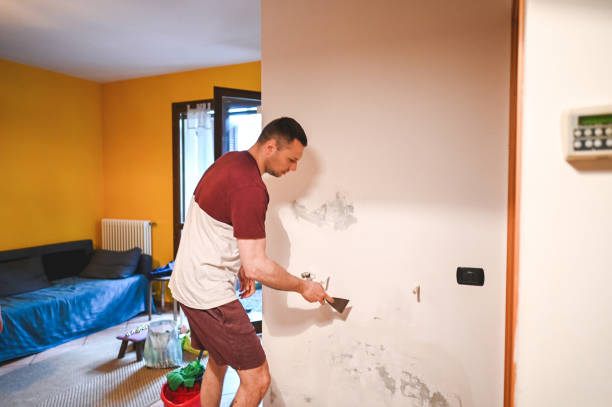 Best Fast Mold Removal  in Gouldtown, NJ